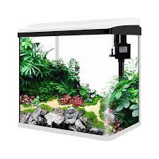 Kami juga bekerjasama dengan pet colony untuk keperluan yang lainnya Aksesoris Aquarium Aquarium Mini Sobo Aquarium Ikan Hias Sobo T 240f Akuarium Putih Shopee Indonesia