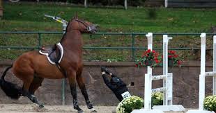 Footage provided by rnsvideomedia.com horse trials and three day eventing in north america. 10 Signs You Re Suffering From A Horse Show Hangover