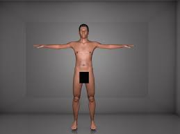 Male Character 3d Model 3d Model Model Male
