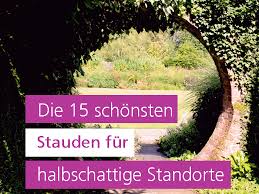 In the garden a partial shade or eastern exposure must be provided. Stauden Halbschatten Meine 15 Lieblinge Irislandschaften Ch