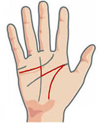 It's generally left out when you eat, write, and hold small objects. What Does The Money Line In Your Palm Say