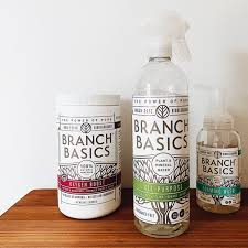 Branch Basics Cleaning Review | The Kitchn
