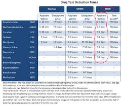 The urine sample drug test, or urinalysis test, is the most common type of drug test in the world today, certainly within the domestic united states before we go any further in this ultimate guide on how to pass a drug test, let's look at the ways that certainly will not help with passing a urine drug test, or. 3 Sneaky Methods How To Pass A Hair Drug Test 2020 Gsdln