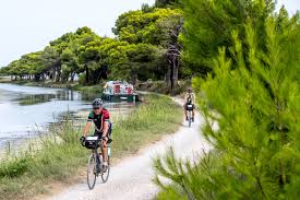 Because life sometimes gets in the way of vacations. Travel Insurance For Cycle Tourists In The Time Of Covid 19 Tda Global Cycling
