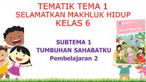 Selamatkan makhluk hidup subtema 1: Kelas 6 Tematik Tema 1 Selamatkan Makhluk Hidup Subtema 1 Pembelajaran 2 Youtube