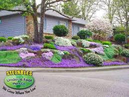 Sweet woodruff is a perennial ground cover that is native to eurasia. Breathtaking Beauty With Ground Covers Outdoor Landscaping Ideas Front Yard Front Yard Landscaping Slope Landscaping