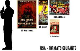 Dl stands for 'dimension lengthwise'. Movie Poster Size