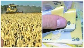 Daca respectati o serie de norme impuse de uniunea europeana pe segmentul de ecoconditionalitate puteti sa beneficiati de un sprijin financiar suplimentar. Impozite 2018 In AgriculturÄƒ Schimbarea Pe Care Trebuie SÄƒ O È™tie Fermierii