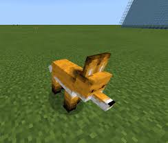 In minecraft 1.6, horses were added to the game, and share the same models as horses from the mod. Mo Creatures Bedrock Edition Minecraft Pe Mods Addons
