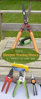 Pin On Zz General Gardening Tips
