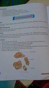 Check spelling or type a new query. Write A Lab Acitivity To Observe A Animal Cell Brainly In