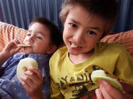 Maximising yield from Boysenberries