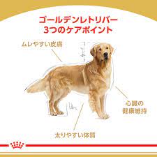 ロイヤルカナン BHN ゴールデンレトリバー 成犬・高齢犬用 3kg | ペットゴー