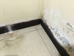 Pin On Slab Leak