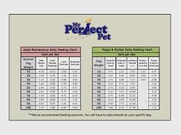 45 rigorous rottweiler food chart