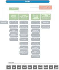 health insurance review assessment service