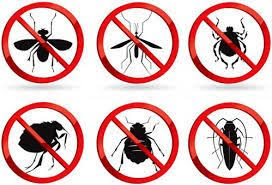 Termite control service benefits round rock texas without much deliberation, it is important to know that hiring a qualified termite control expert comes with several benefits. Squirrel Removal Round Rock Pest Control Best Pest Control Pest Control Services