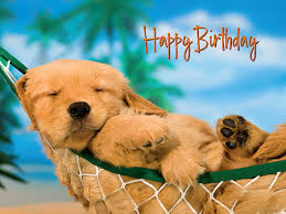 Happy Birthday Paws and enjoy it ...