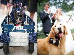 Wedding Ideas Blog Wedding Pets Wedding Humor Dog Wedding