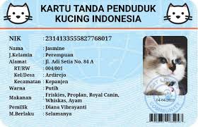 We did not find results for: Sah Punya Nik 10 Potret Menggemaskan Ktp Kucing Milik Netizen