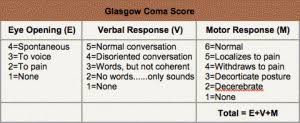 An Easy Trick For Remember The Glasgow Coma Scale Life