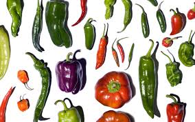 Wayland chiles japones chile seeds. Cayenne Habanero Poblano Serrano Know Your Chile Peppers Chowhound