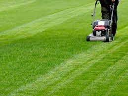 20 Important Tips You Need To Know About Mowing Wet Grass Garden Gardening Mower Mowing Grasses Wetgrass Lawn Care Lawn Maintenance Garden Services