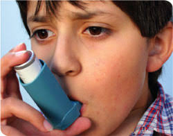 Extreme Heat Events Guidelines: Technical Guide for Health Care Workers