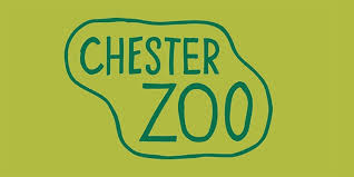 Statement From Chester Zoo Chester S Dee Radio