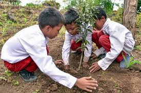 Kerja kosong kilang sabah 2020; Menanam Pohon Amal Jariyah Yang Pahalanya Tak Pernah Putus