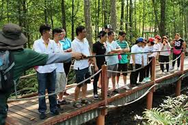 4 terdapat 489 kilang arang kayu. Kuala Sepetang Eco Tourism Mangrove Awareness Kelip Kelip Kuala Sepetang Taiping Perak Fireflies Eco Tourism Facebook