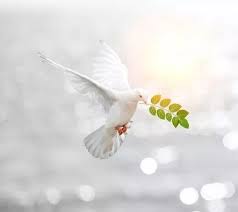 Thomas Edward Hilliard