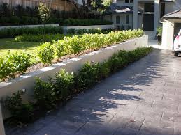 Front Yard Revamp Pymble Front Garden Ideas Driveway Front Yard Garden Ideas Driveway
