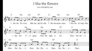 I Like The Flowers