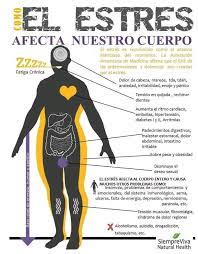 Como Afecta El Estres A Nuestro Cuerpo Infografias Y Remedios