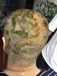 Watch this amazing compilation of hair transformations to colorful styles, and you'll definitely be able to choos. Buzz Cut Hair Dye Bpatello