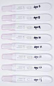 We did not find results for: When To Take A Pregnancy Test For An Accurate Result