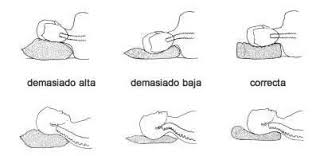 Pin On Salud Y Algo Mas