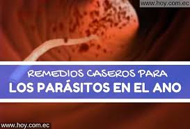 Picor En El Ano Oxiuros Oxiuros O Hemorroides