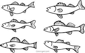 There are so many creative ways to have learning fun with one fish, two fish, red fish, blue fish by dr. Six Walleye Fish Coloring Page Coloringall