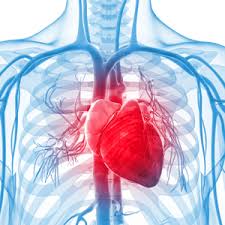 Charles patrick davis, md, phd. Cardiac Arrest Vs Heart Attack Health24