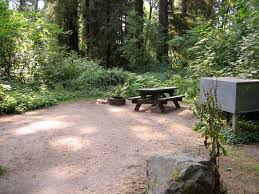 Reservations can be made online thorugh reserve america. Campsite At Elk Prairie Campground Bigfoot Vs The Impala Flickr