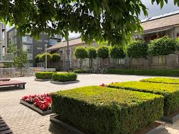 The 2020 ALCI Landscape Awards Winners announced