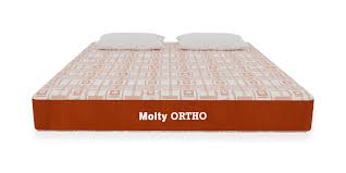 Check out our sofa foam selection for the very best in unique or custom, handmade pieces from our foam forms shops. Master Molty Ortho Sleep Mattress 6 Inches Hoid Pk