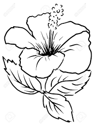 صور ورد للتلوين جهازة للطباعة لتنمية قدرات الأطفال بفبوف Vector Flowers Flower Coloring Sheets Vector Background Pattern