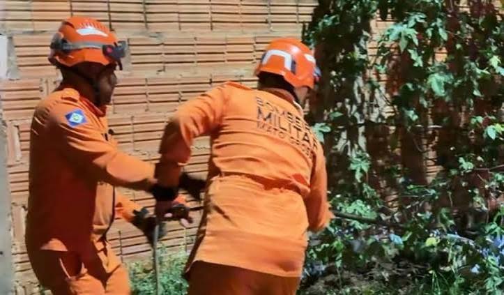 MidiaNews | Corpo de Bombeiros captura jacar&eacute; em via p&uacute;blica de C&aacute;ceres