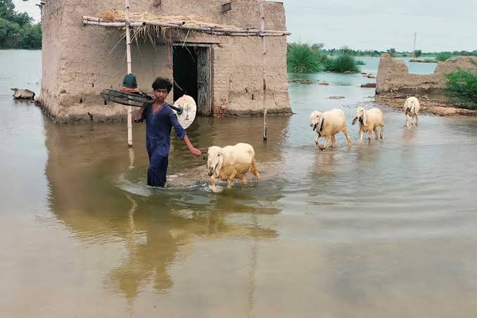 World Bank unhappy over fund diversions from Pakistan's Balochistan – Asia  News Network