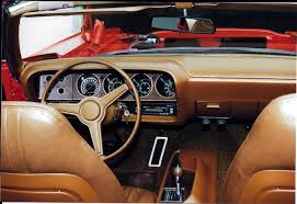 Image result for Dark Tan 1970 Challenger