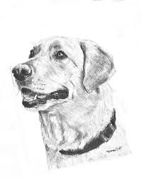 pin by ruth josephson on bodie animals dogs