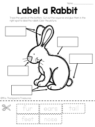Free Label The Rabbit And More Science Activities For Easter And Spring Kindergarten Reading Activities Preschool Science Activities Easter Preschool